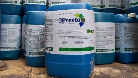 Glifosato