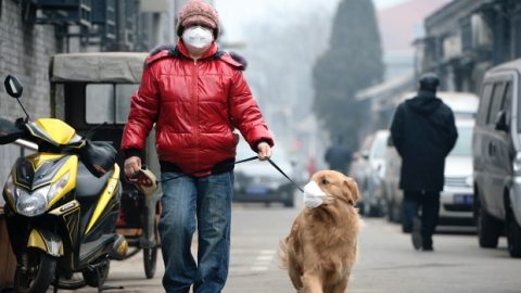 Censurato-il-documentario-sull’inquinamento-in-Cina1