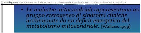 mitocondrio