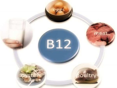 vitamina-b12-alimenti
